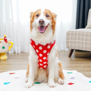 Close-up of a red polka dot winter fleece pet vest worn by a golden retriever dog
