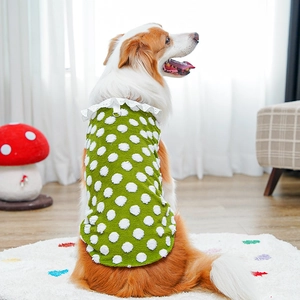 Close-up of green dog vest with white plush polka dots and lace collar on a dog