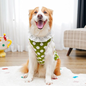 Detail of green polka dot pet vest with lace collar and soft fleece texture for dogs