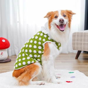 Detail of green dog vest with white pom-pom polka dots and delicate lace collar