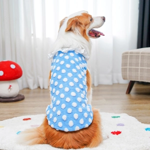 Close-up of blue polka dot dog vest with white lace collar and metal D-ring attachment