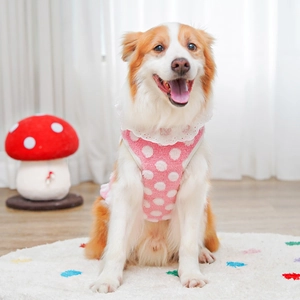 Close-up of pink polka dot pet vest with white lace collar on a golden retriever dog