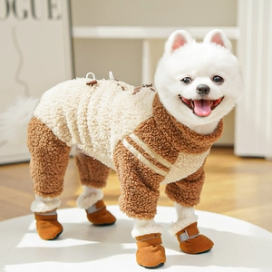 Detailed view of winter warm fleece dog bodysuit with non-slip shoes on a Pomeranian