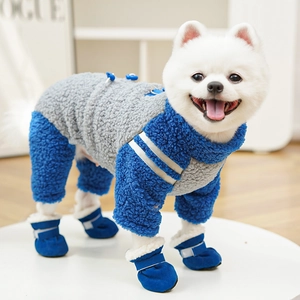 Close-up of pet winter jumpsuit with fleece texture and matching blue soft boots