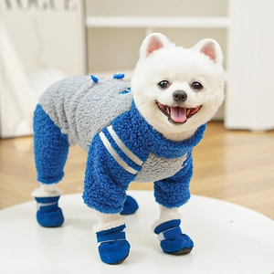 Detail of warm fleece dog tracksuit and matching blue boots for winter pets
