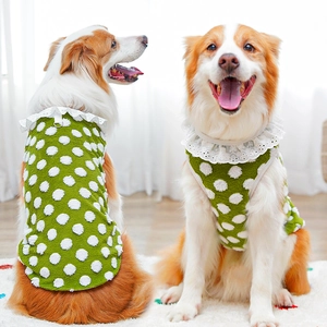 Green pet dog vest with white pompom dots and lace collar shown from front and back view