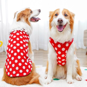 Red white polka dot dog vest with lace collar for large dogs in a bright home setting