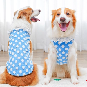 Blue polka dot dog vest with white lace trim and D-ring for Golden Retrievers