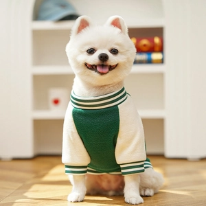 Detail of green fleece dog baseball jacket showing ribbed collar and soft fabric texture