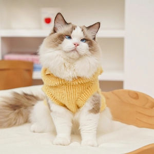 Dettaglio del gilet con cappuccio giallo in maglia a coste indossato da un gatto