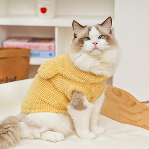 Dettaglio ravvicinato del maglione giallo per animali in finta pelliccia di visone