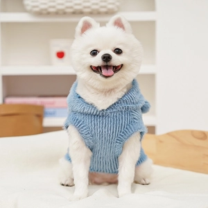 Dettaglio del maglione in maglia azzurra per animali su un volpino di Pomerania