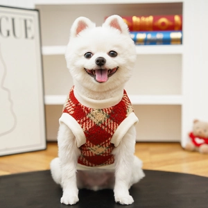 Close-up of a Pomeranian dog wearing a warm red and yellow plaid fleece vest for winter