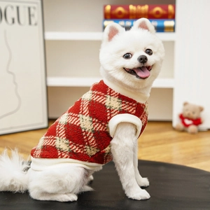 Close-up of small dog wearing a warm red and green plaid fleece vest in home setting