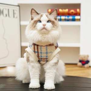 Detail of warm checkered fleece pet vest for cats and small dogs in a cozy home setting