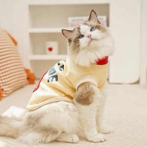 Detail view of cream-colored pet sweatshirt with red turtleneck and blue letter print