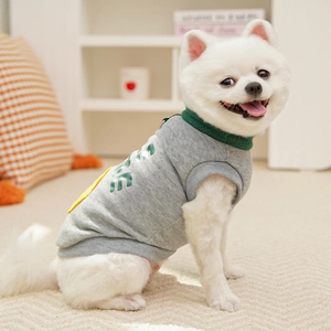 Detail of grey pet sweatshirt with green ribbed collar and letter print on soft fabric