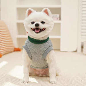 Detail of grey pet vest with green fleece turtleneck worn by a white Pomeranian