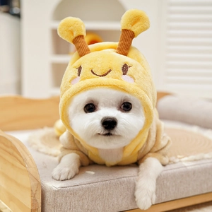 Close-up of plush bumblebee hoodie hood with 3D antennae on a small dog
