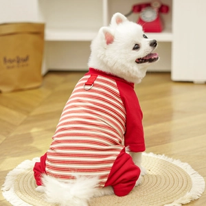 Detail of red striped pet jumpsuit with D-ring leash attachment for small dogs