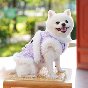 Détail du gilet violet pour animaux de style chinois avec texture fleurie et fausse fourrure