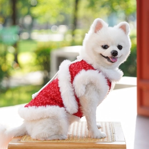 Détail de la veste rouge pour animaux avec doublure polaire et motifs floraux chinois