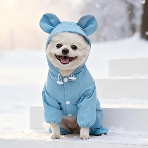 Detail of waterproof dog snowsuit with cute bear ears hood and button closure