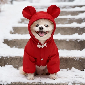 Close-up of waterproof red dog snowsuit with cute bear ears on the hood and buckle closure