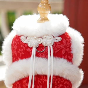 Détail de la veste festive pour animaux avec bouton perle et bordure en fausse fourrure