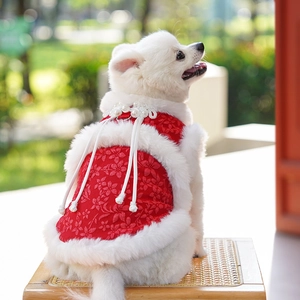 Détail de la tenue festive rouge pour animaux avec bouton perle, fausse fourrure et glands