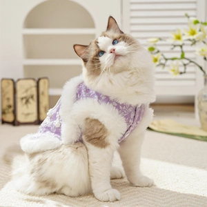 Costume Tang cinese viola per gatti con bordo in ecopelliccia bianca e bottoni a alamaro