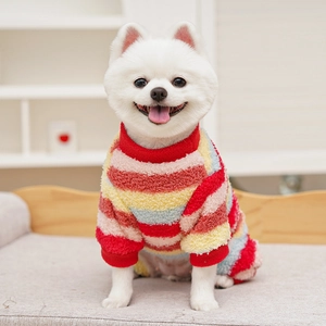 Détail d'une combinaison polaire rayée arc-en-ciel pour petits chiens et chats en intérieur