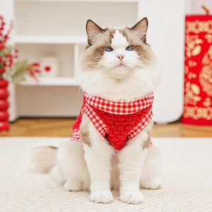 Close-up of plush red pet vest with festive plaid trim on a fluffy Ragdoll cat
