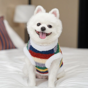 Détail d'un pull pour chien à rayures arc-en-ciel avec col et poignets en polaire douce