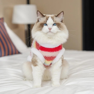 Détail d'un gilet en polaire arc-en-ciel pour animaux avec bordure en peluche sur un chat