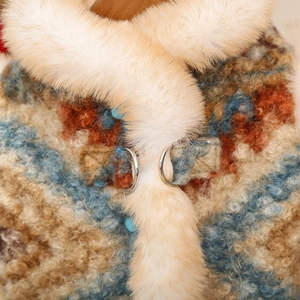 Dettaglio del gilet Fair Isle per cani con collo in pelliccia sintetica e fibbia argento