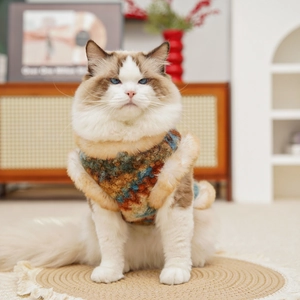 Dettaglio di un gilet in tweed per animali con bordo in peluche su un gatto Ragdoll