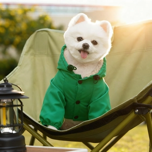 Waterproof dog winter jacket with green hooded shell and warm fleece lining on a small white dog