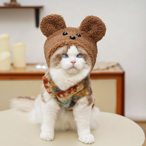 Détail du chapeau peluche ours pour chien et chat avec son écharpe en tricot colorée