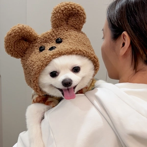 Détail du chapeau en peluche ours en peluche pour chien avec oreilles en relief