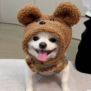 Détail du bonnet ours en polaire marron et gilet à motifs pour chiens et chats