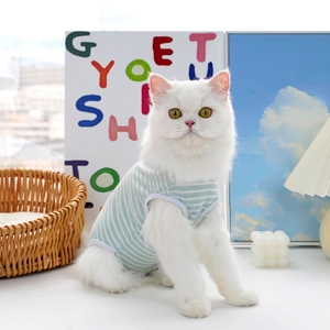 Tuta protettiva per gatti a righe bianche e verdi per piccoli cani e gatti domestici