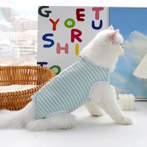 Dettaglio di un gatto che indossa una tuta di recupero in cotone a righe verdi e bianche