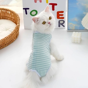 Dettaglio della tuta a righe verde menta su un gatto bianco in un ambiente domestico