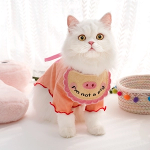 Pull côtelé rose pour animaux avec bavoir brodé I'm not a pig sur un chat mignon