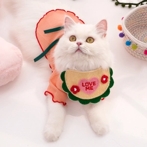 Bavoir tricoté rose pour chat avec broderie LOVE ME et dentelle verte pour animaux