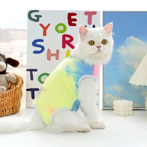 Primo piano di un gatto a pelo lungo con un gilet tie-dye colorato in un ambiente accogliente