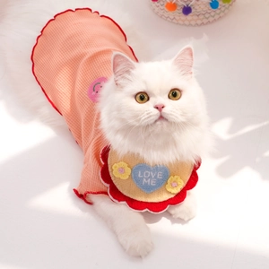 Détail d'un t-shirt gaufré orange pour animaux et bavoir brodé LOVE ME mignon pour chat