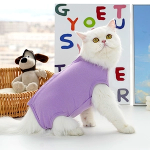 Dettaglio tuta post-operatoria viola in cotone elastico su un gatto bianco