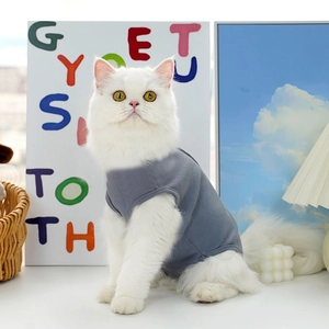 Dettaglio di una tuta post-operatoria grigia a righe su un gatto bianco in un ambiente accogliente